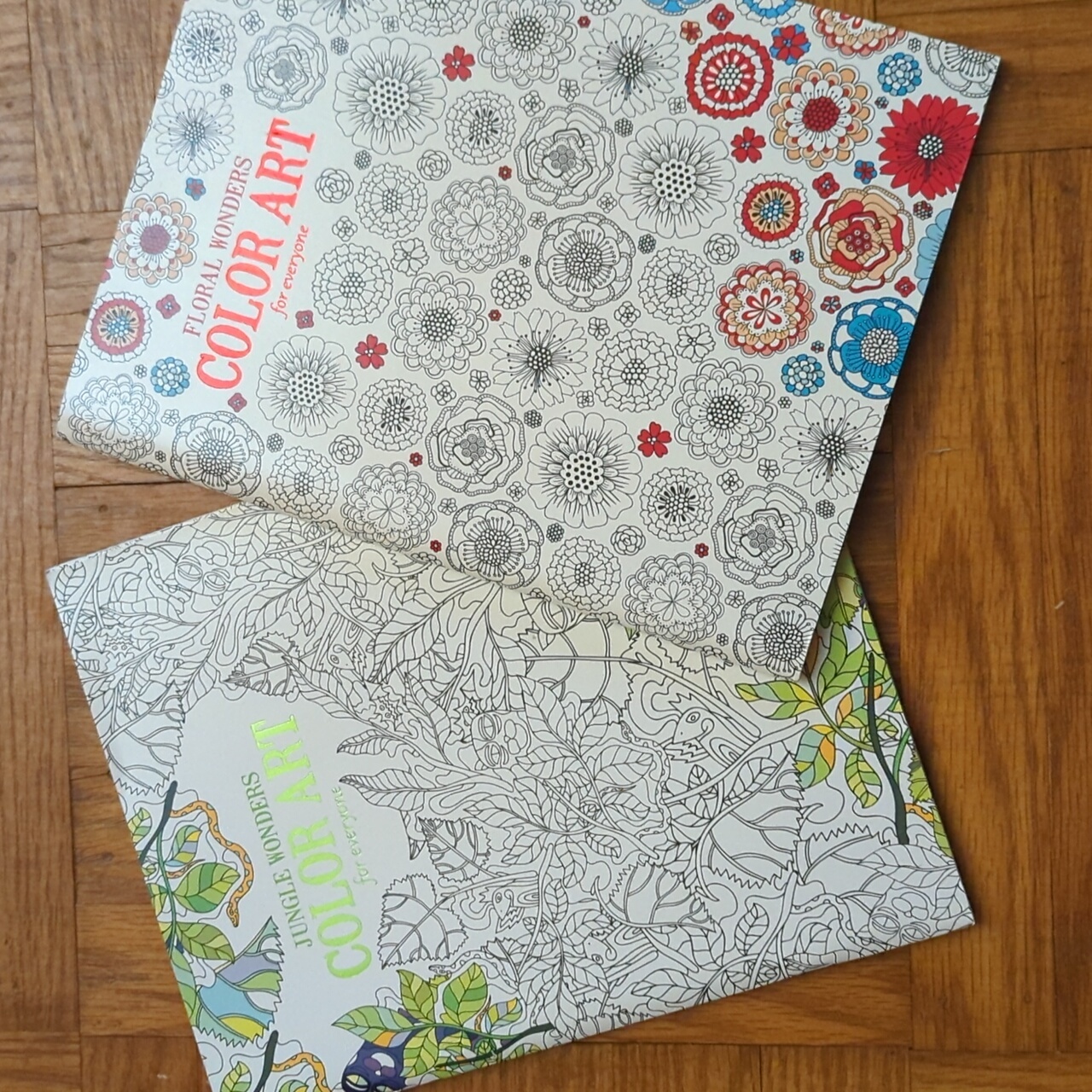Adult Color Art Coloring Books Set